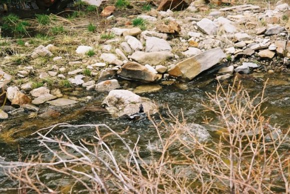 F1010001_768x514_1233348_70