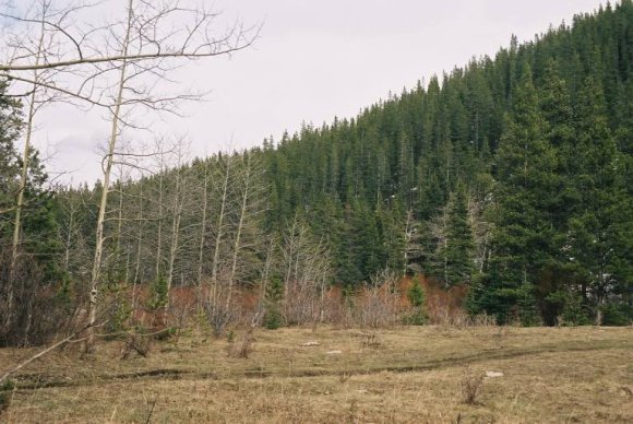 F1010013_768x514_1233394_70