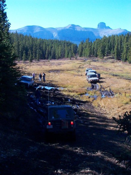 Not sure what they are all doing