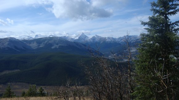 thanks giving trip 012