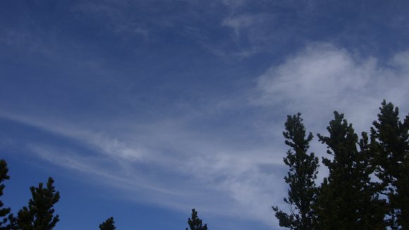 thanks giving trip 014