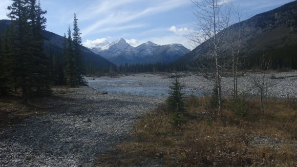 thanks giving trip 015